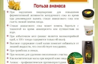 Ананас – полезные свойства и противопоказания