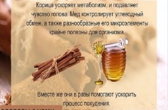 Корица для похудения: рецепты и советы