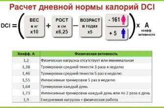 Подсчет калорий как естественный способ снижения веса