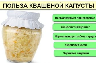 Польза квашеной капусты